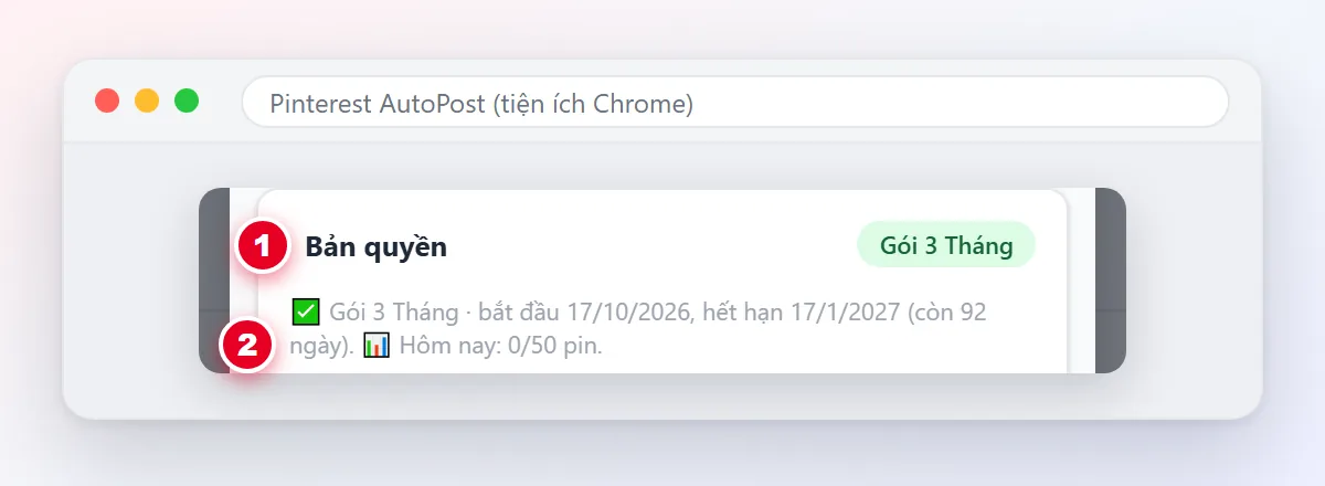 Mục Bản quyền trong Cài đặt của Pinterest AutoPost hiện ngày hết hạn, đánh số 1 và 2